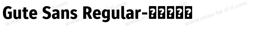 Gute Sans Regular字体转换